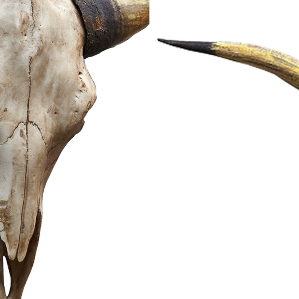 Аксессуар на стену Bull Skull beige