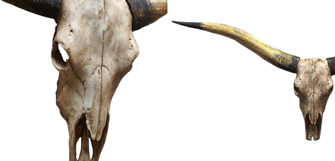 Аксессуар на стену Bull Skull beige