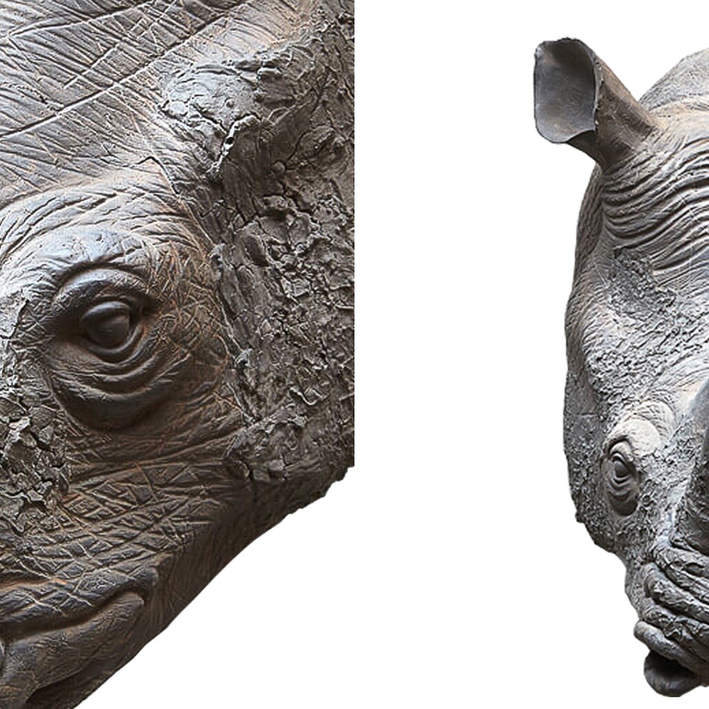 Аксессуар на стену Rhinoceros