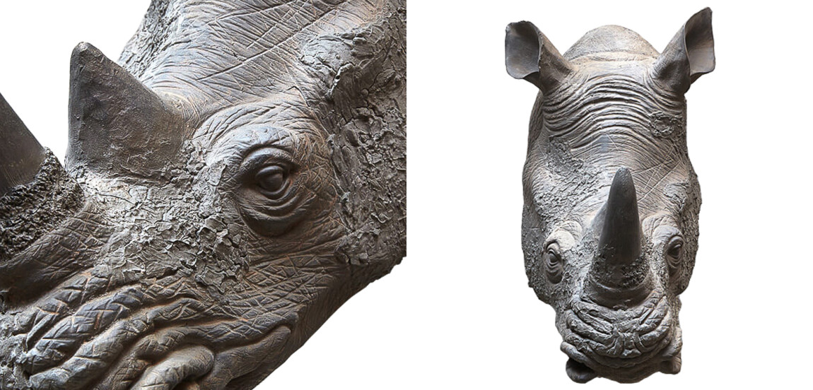 Аксессуар на стену Rhinoceros