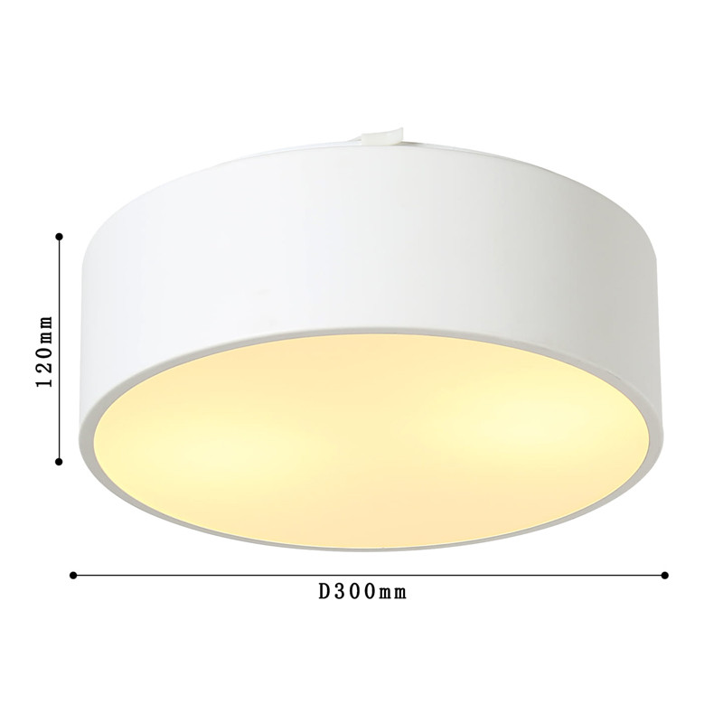 Белый потолочный светильник Skylight