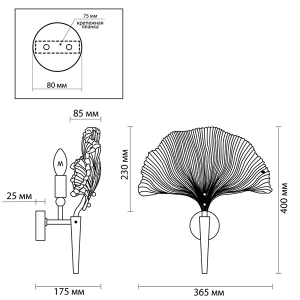Бра Ginkgo