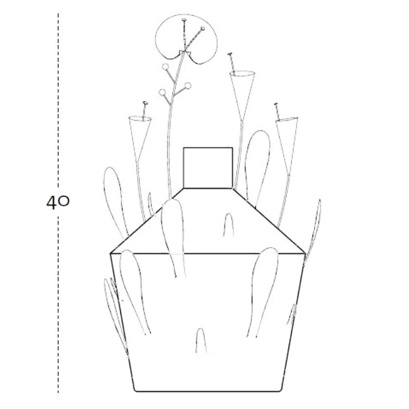 Ваза Далла Терра