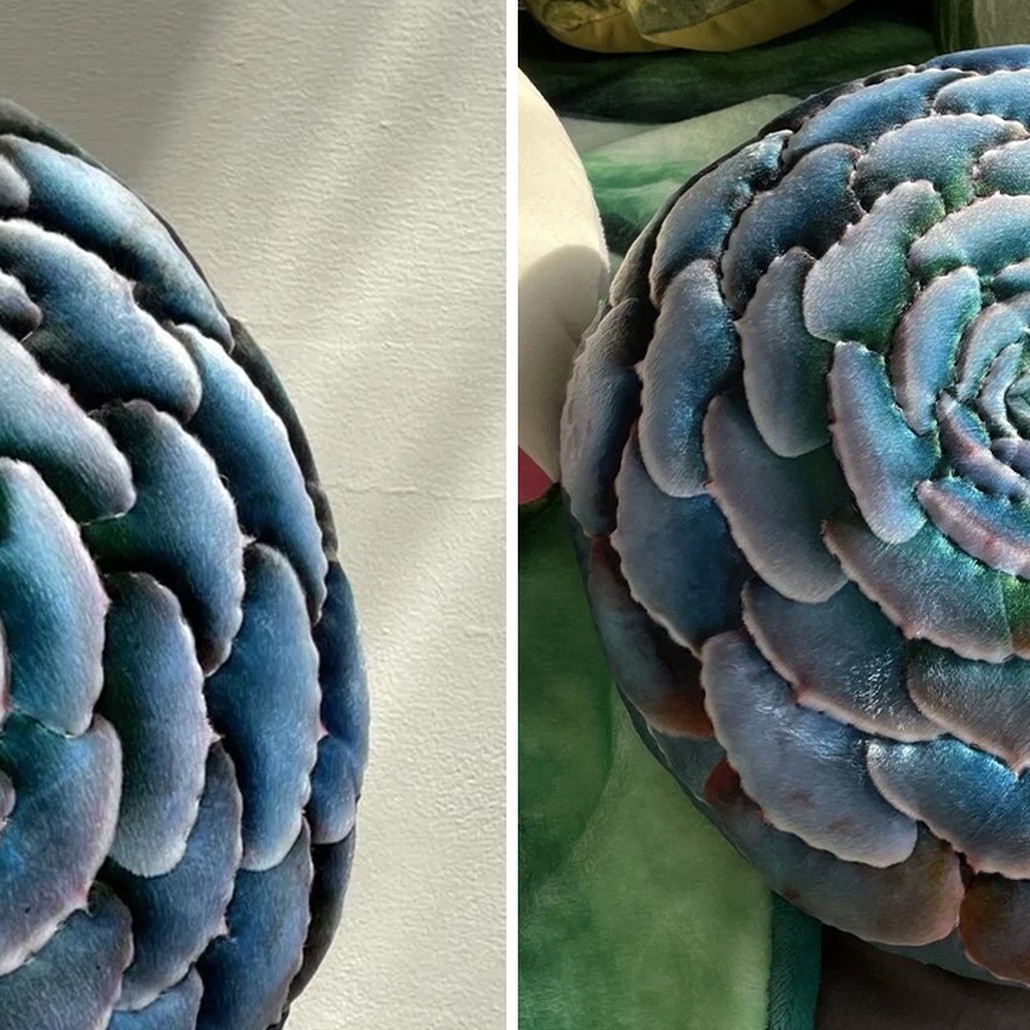 Декоративная подушка Botanical Cushion Succulentus