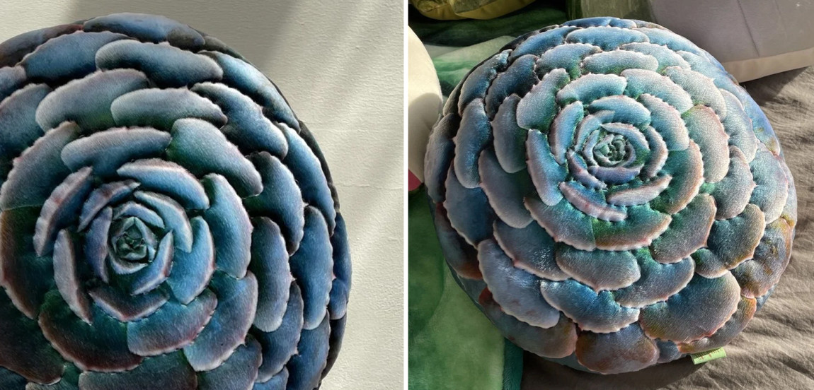 Декоративная подушка Botanical Cushion Succulentus