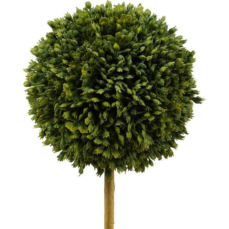 Декоративный искусственное растение Boxwood One