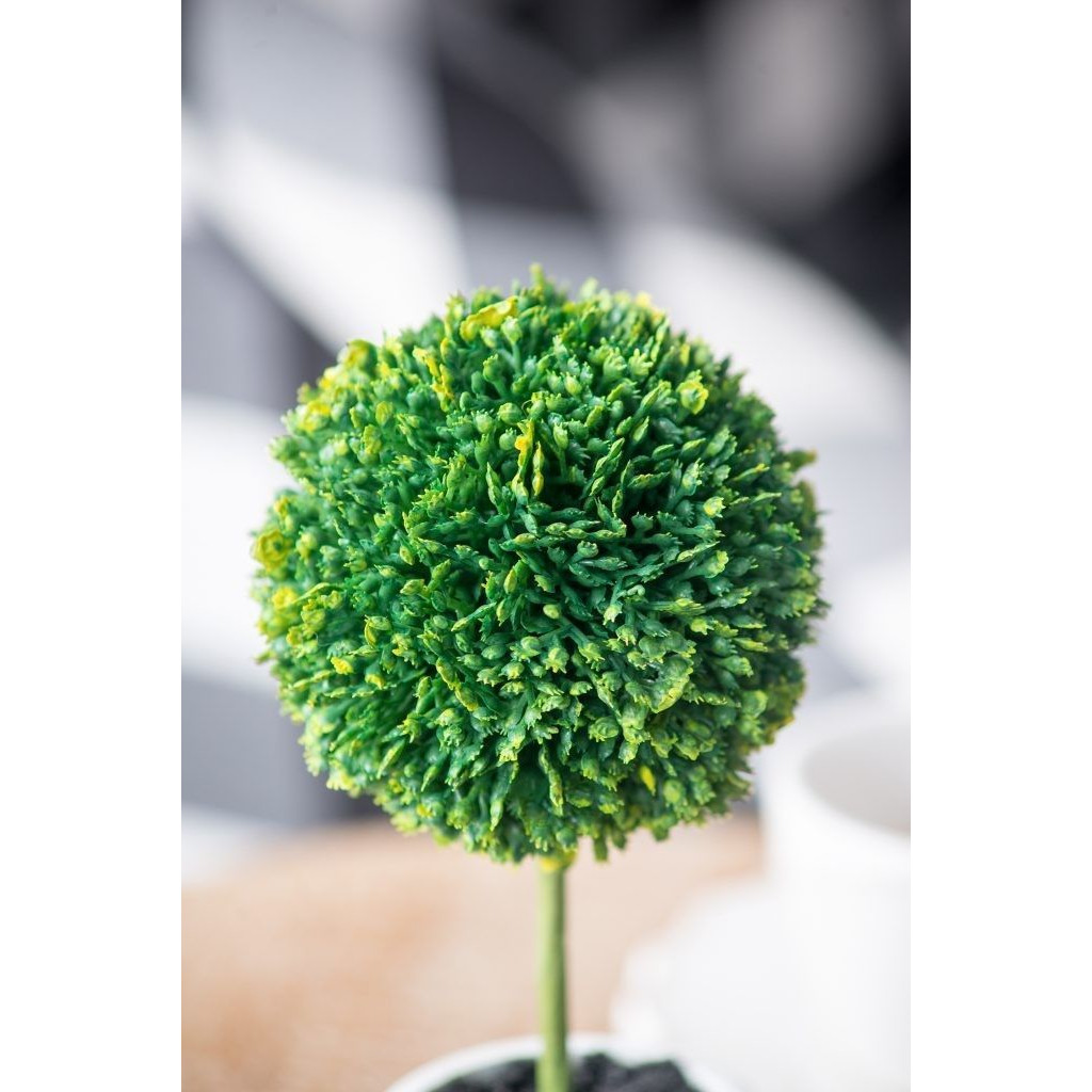 Декоративный искусственное растение Boxwood One