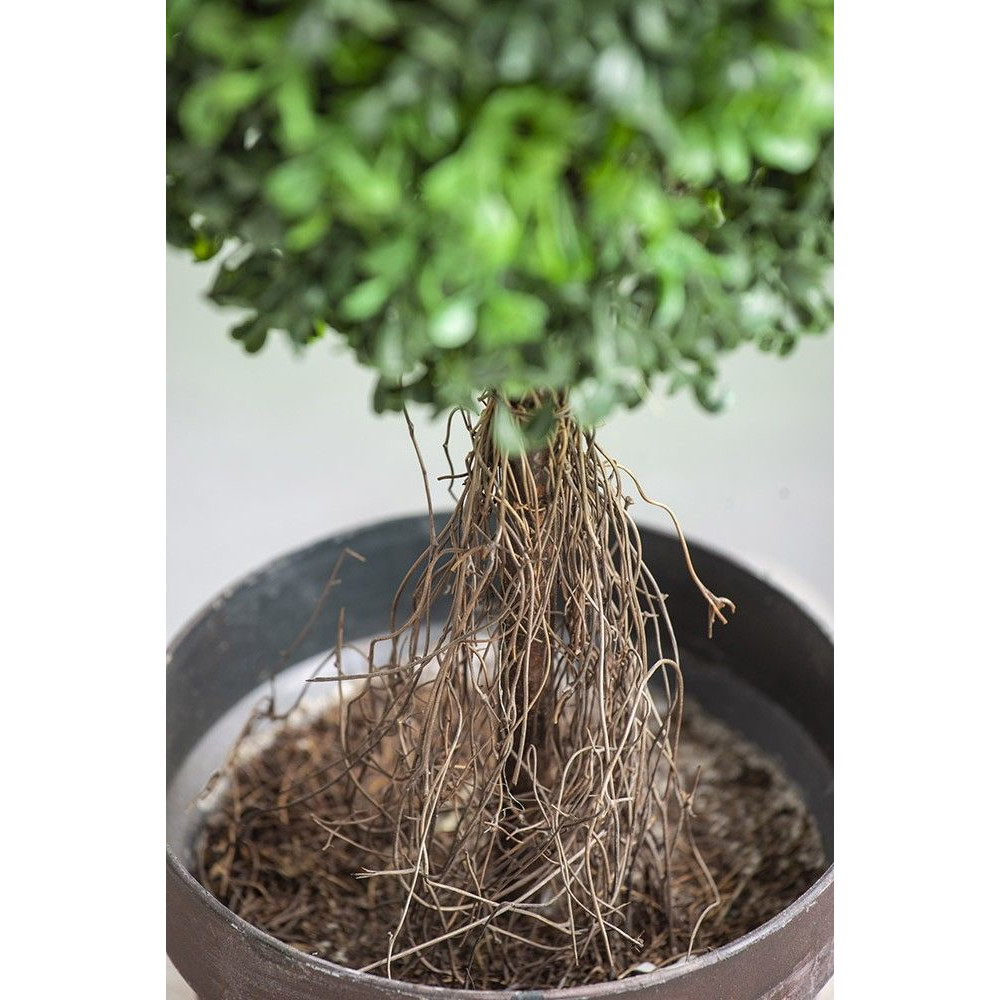 Декоративный искусственное растение Boxwood tree