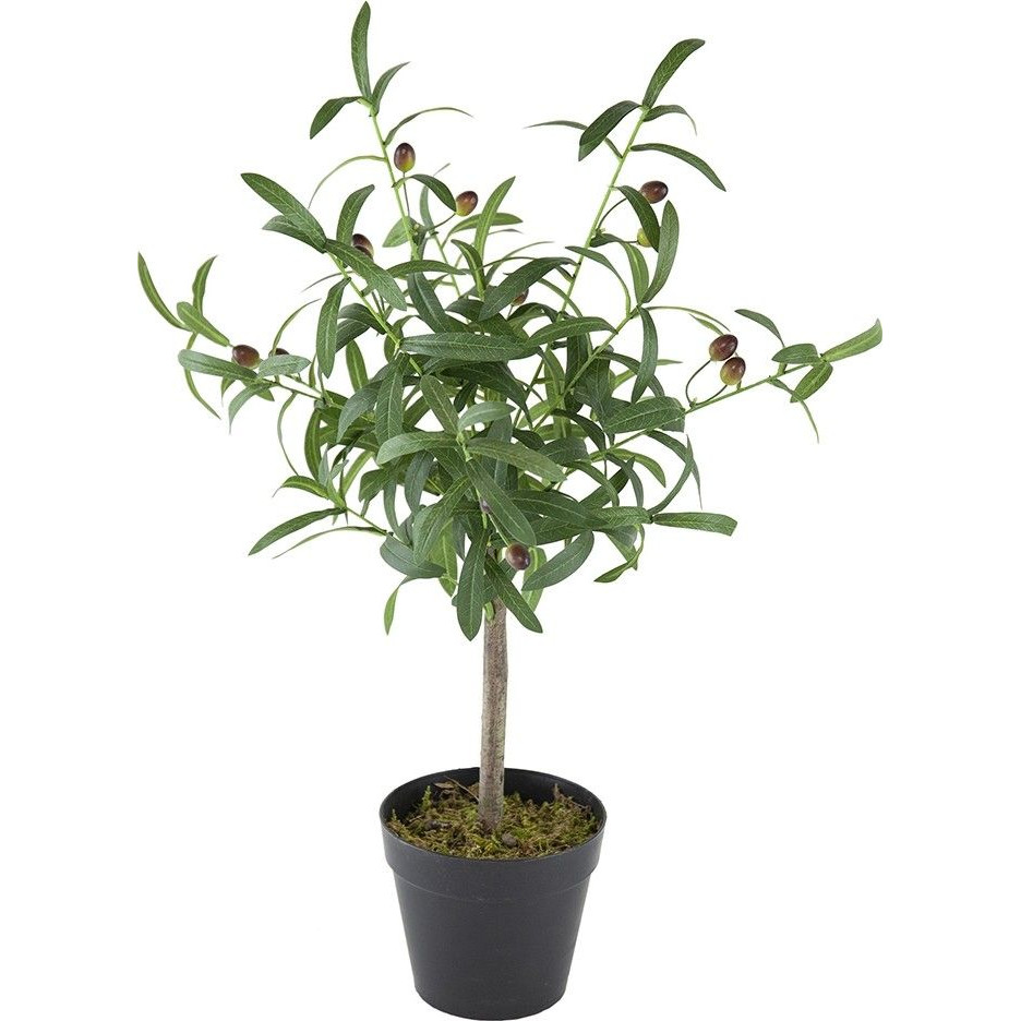 Декоративный искусственное растение Olive tree with fruits