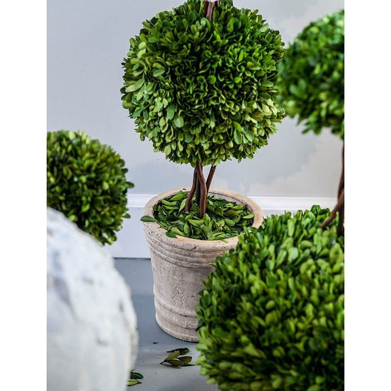 Декоративный искусственное растение Single boxwood