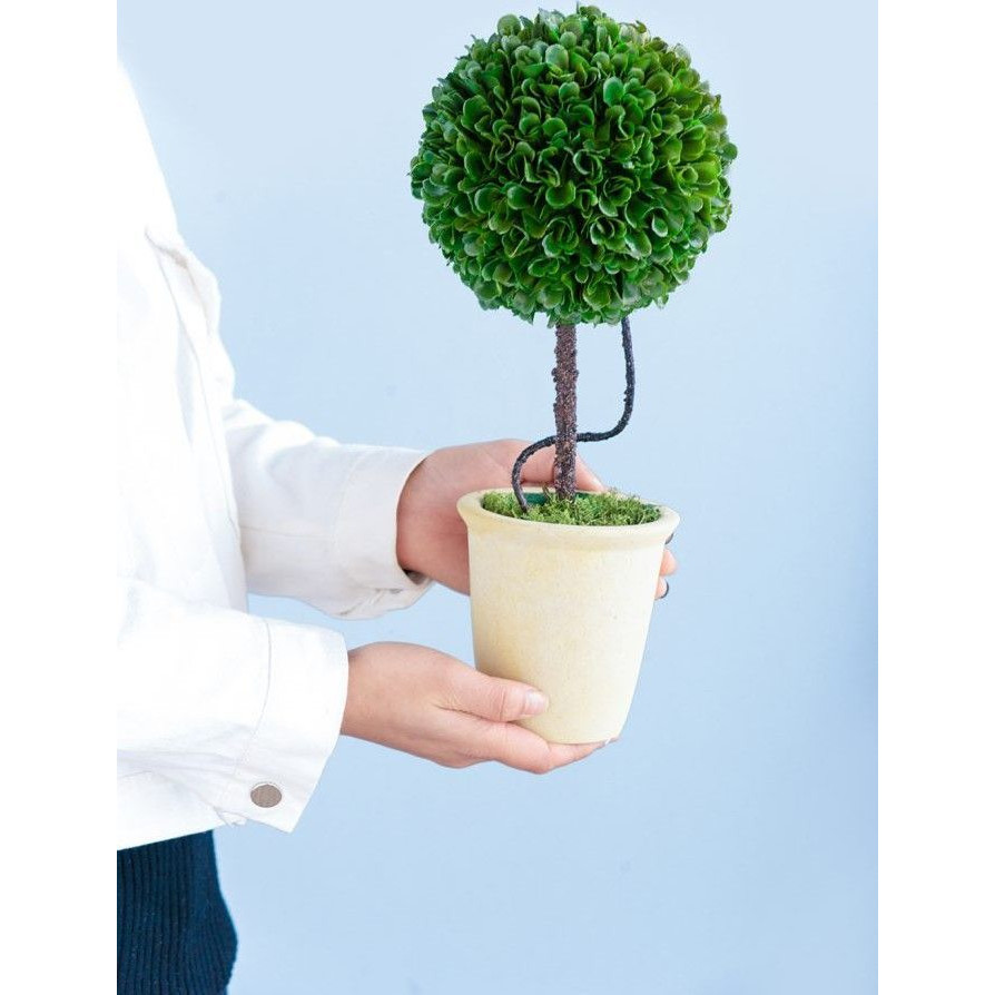 Декоративный искусственное растение Single boxwood