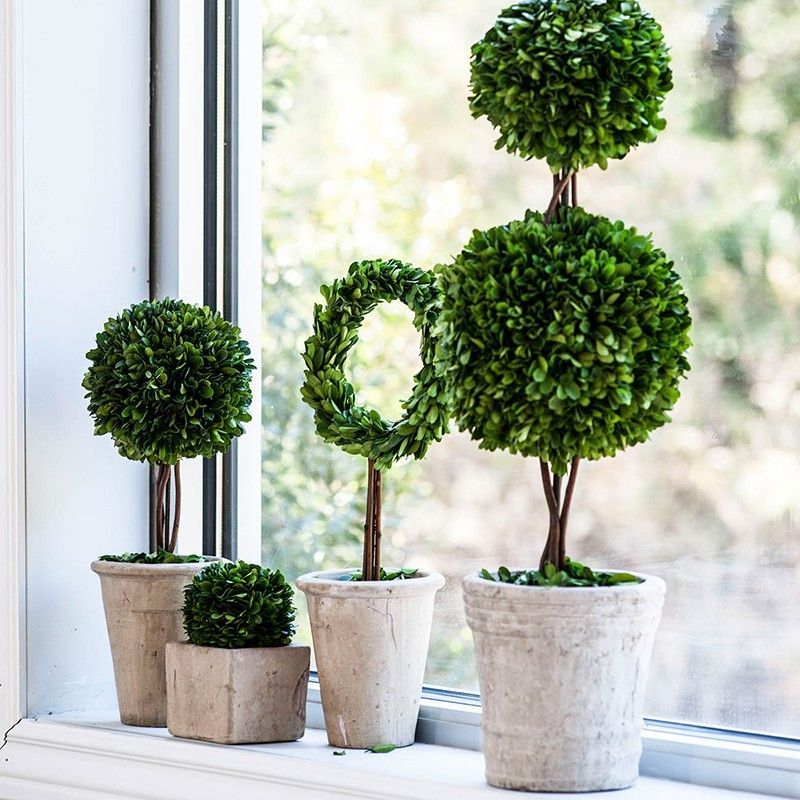 Декоративный искусственное растение Square boxwood