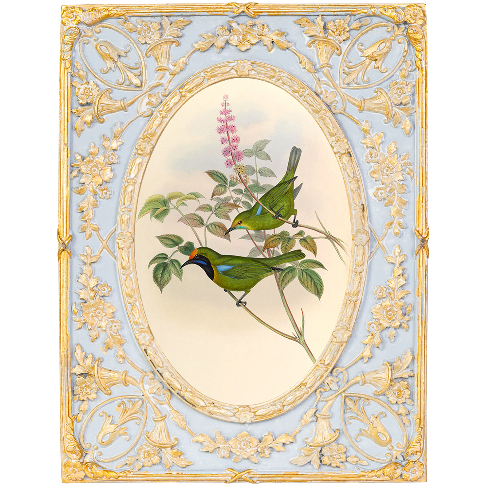 Декоративный постер с изображением птиц в раме с рельефным растительным узором Blooming Birds Poster