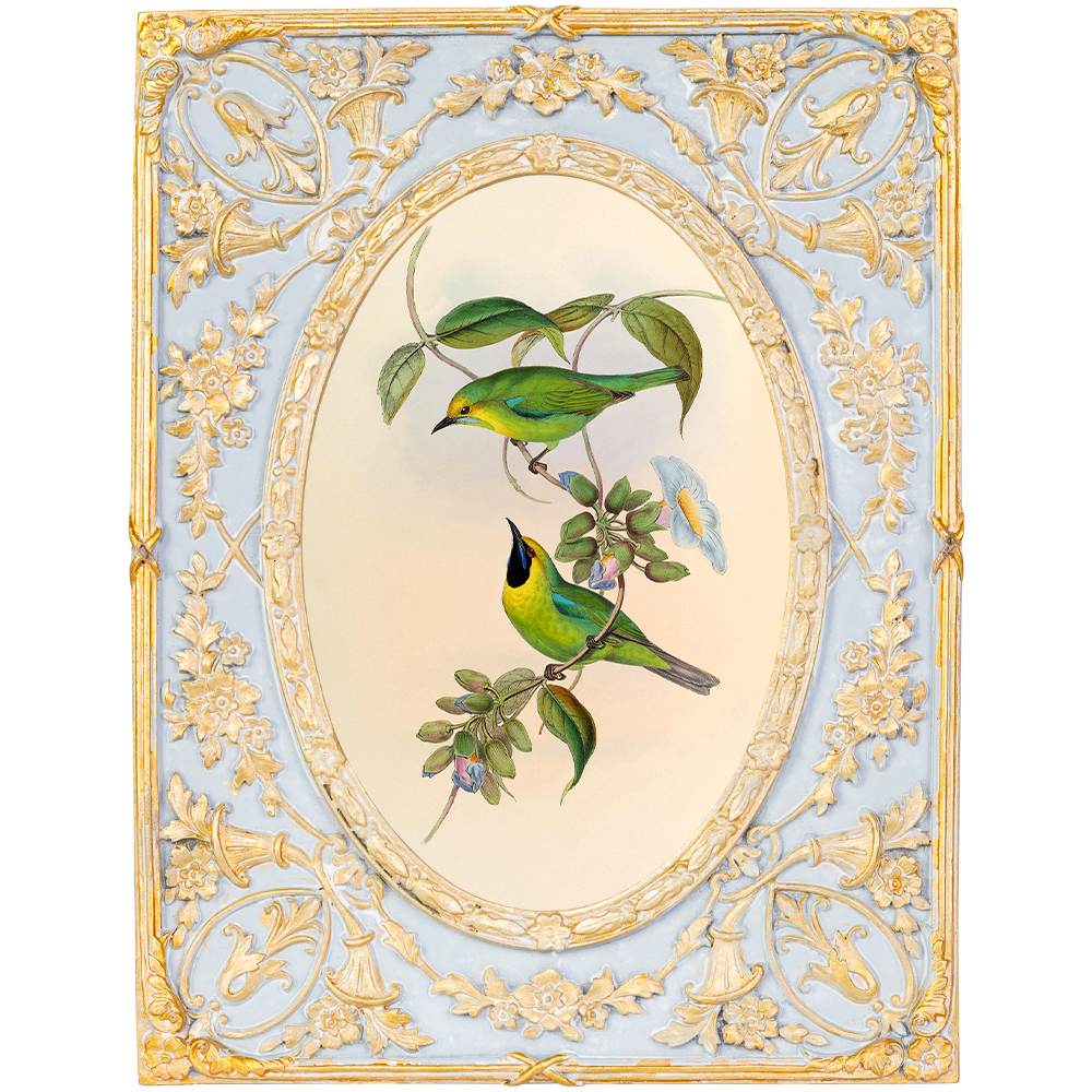 Декоративный постер с изображением птиц в раме с рельефным растительным узором Blooming Birds Poster