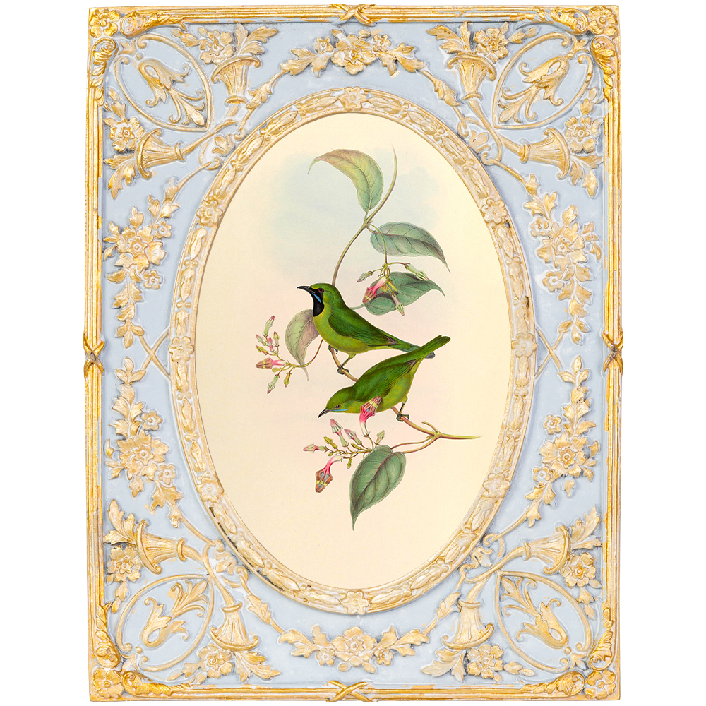 Декоративный постер с изображением птиц в раме с рельефным растительным узором Blooming Birds Poster