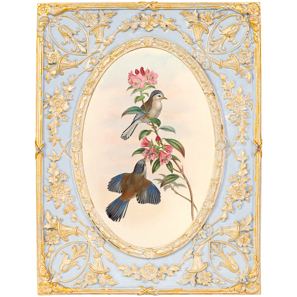 Декоративный постер с изображением птиц в раме с рельефным растительным узором Blooming Birds Poster