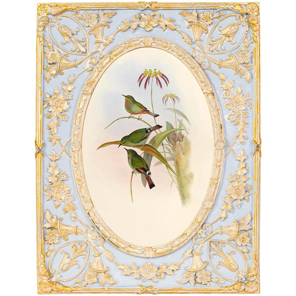 Декоративный постер с изображением птиц в раме с рельефным растительным узором Blooming Birds Poster