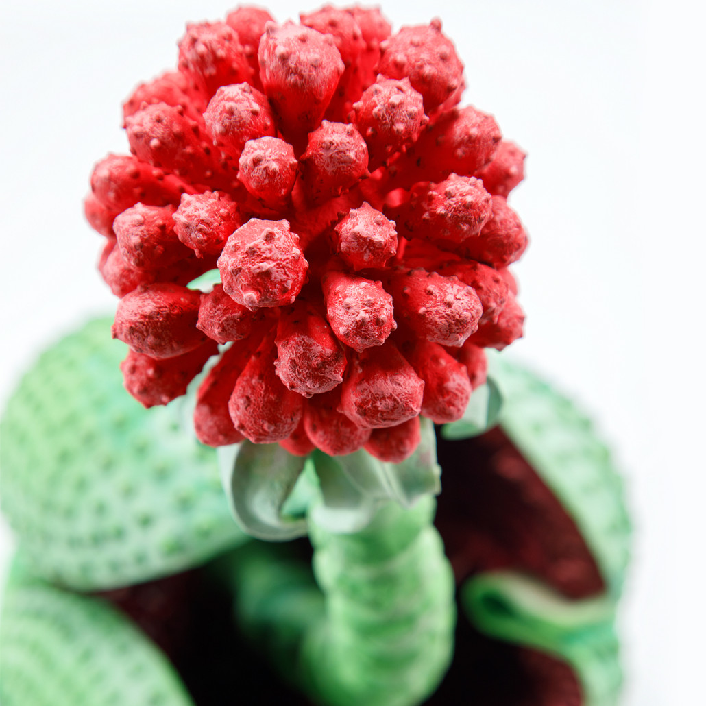 Дизайнерская статуэтка для интерьера Tropical Fruit Pandora 16