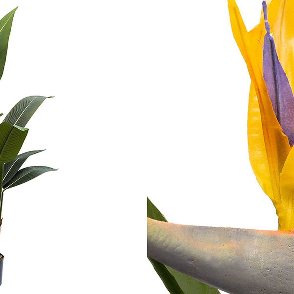 Искусственная Strelitzia Reginae