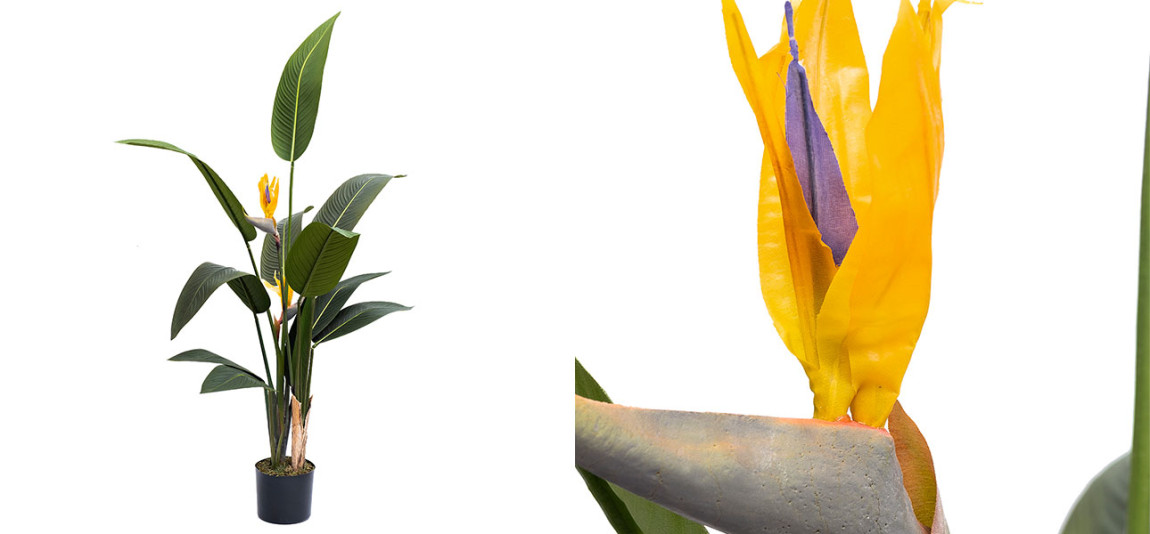 Искусственная Strelitzia Reginae