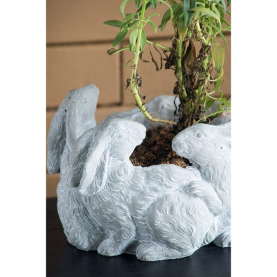 Кашпо A collection of baby rabbits