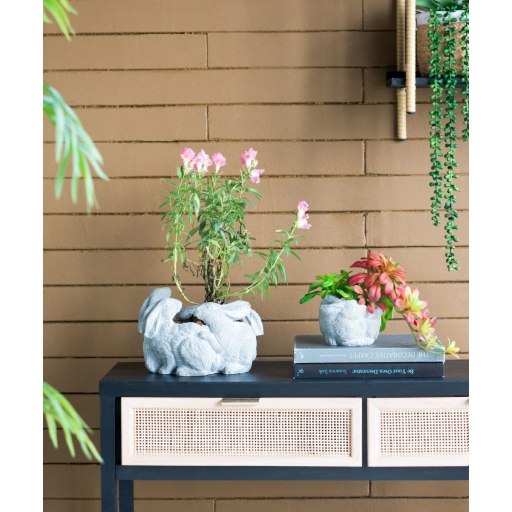 Кашпо A collection of baby rabbits