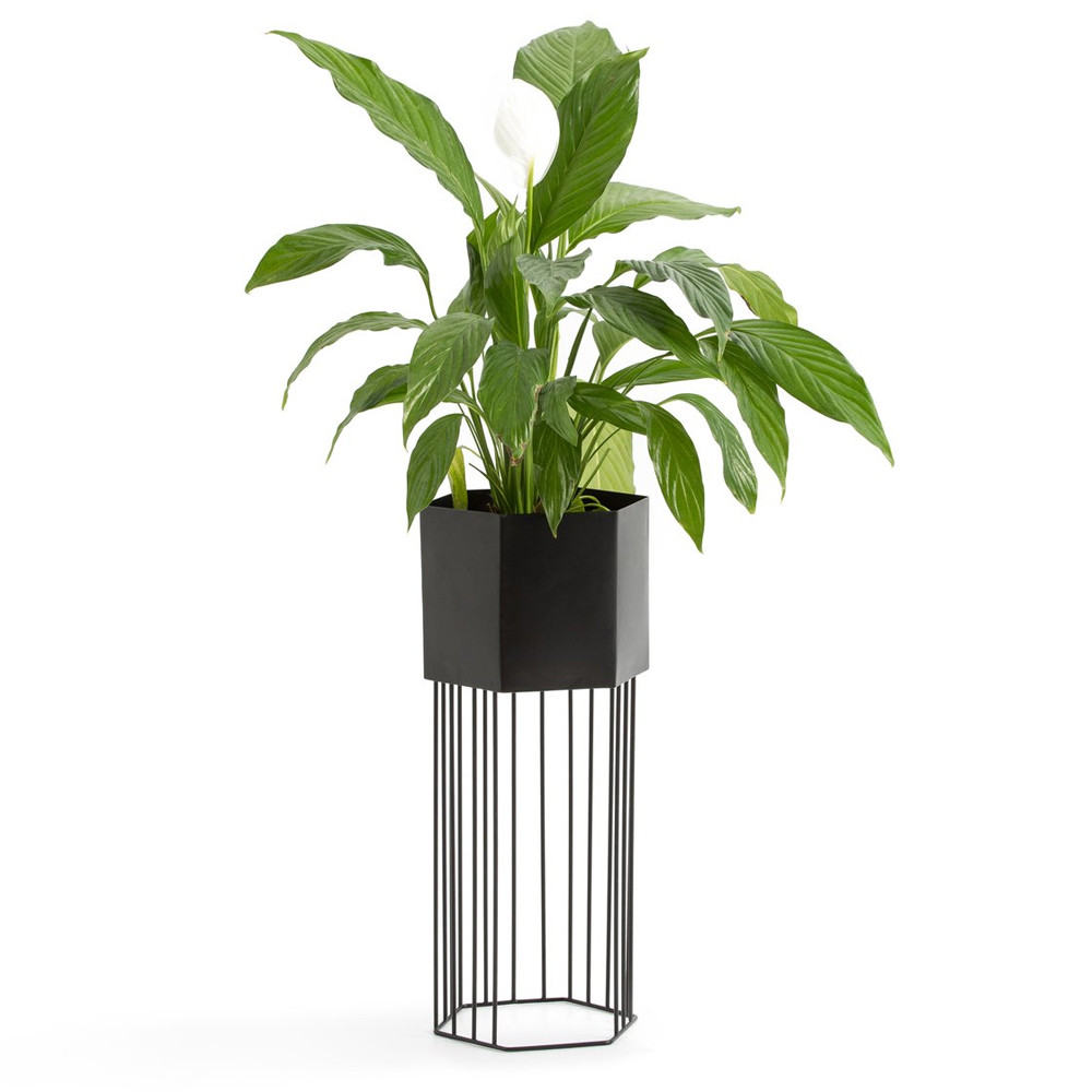 Кашпо Elevated Planters Сlive 59 черное