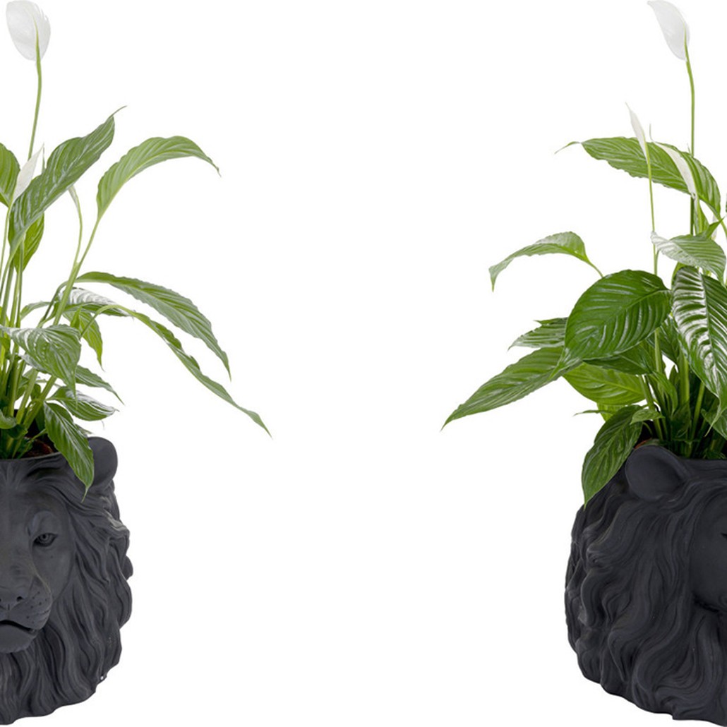 Кашпо Lion's Head black