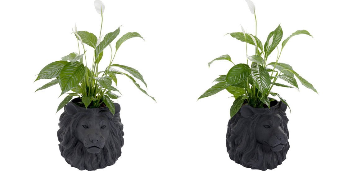 Кашпо Lion's Head black