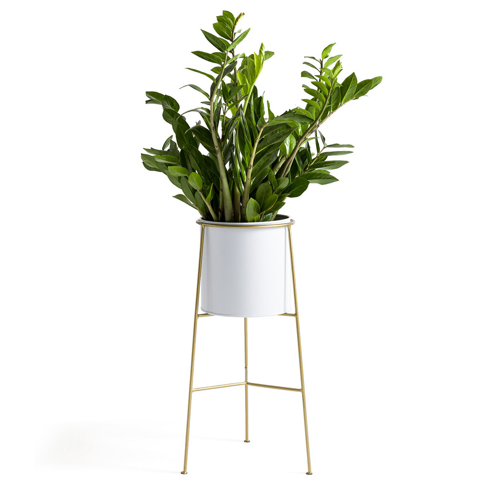 Кашпо из металла и латуни Elegance Elevated Planters белое