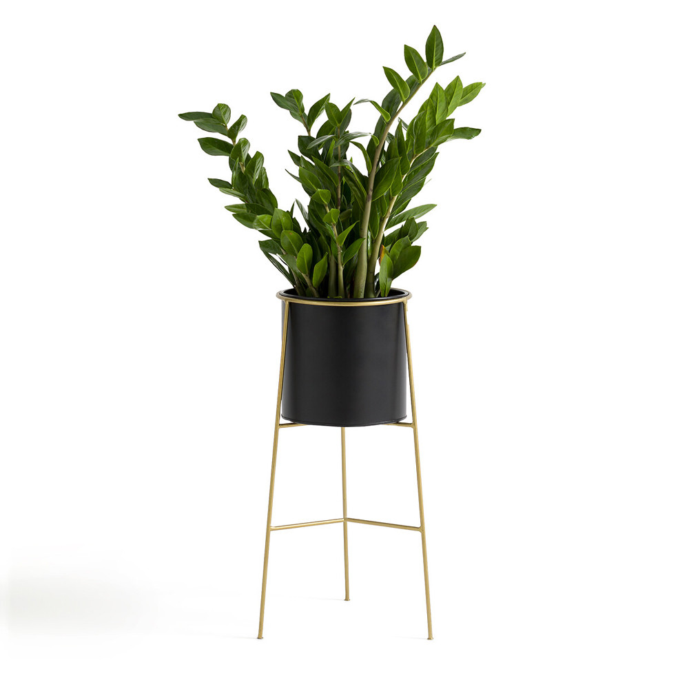 Кашпо из металла и латуни Elegance Elevated Planters черное