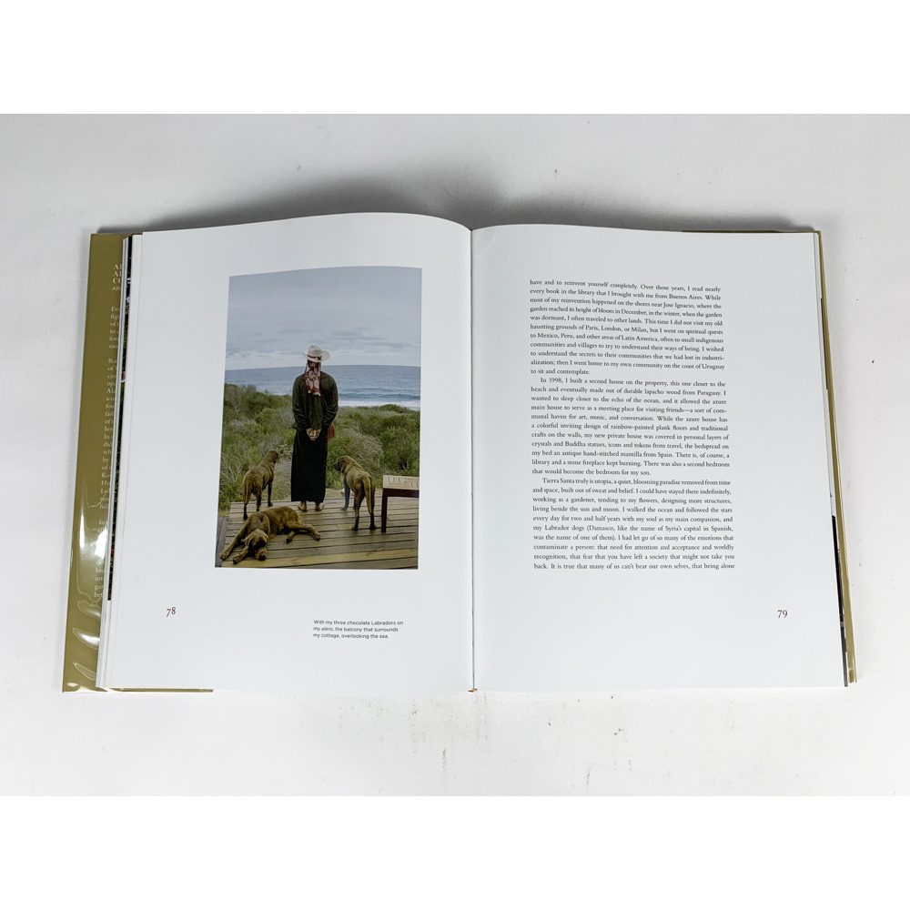 Книга Alan Faena: Alchemy and Creative Collaboration: Architecture, Design, Art