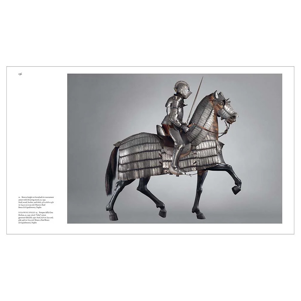 Книга Art & War in the Renaissance: The Battle of Pavia Tapestries