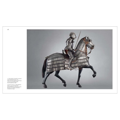 Книга Art & War in the Renaissance: The Battle of Pavia Tapestries