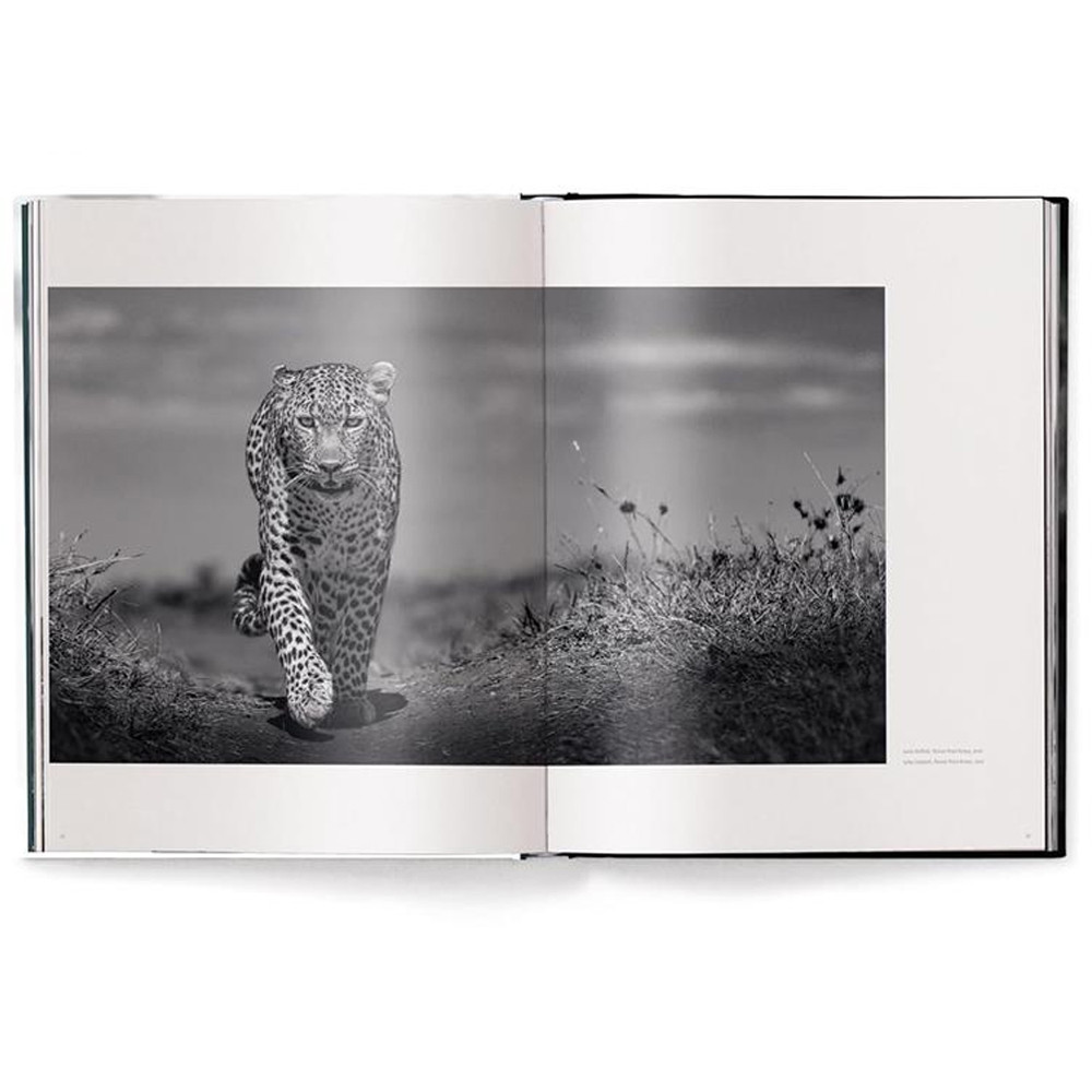 Книга Beusker. Look into my Eyes