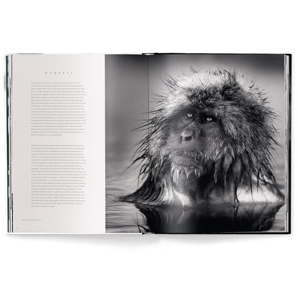 Книга Beusker. Look into my Eyes