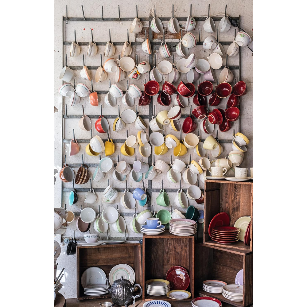 Книга Extraordinary Collections: French Interiors