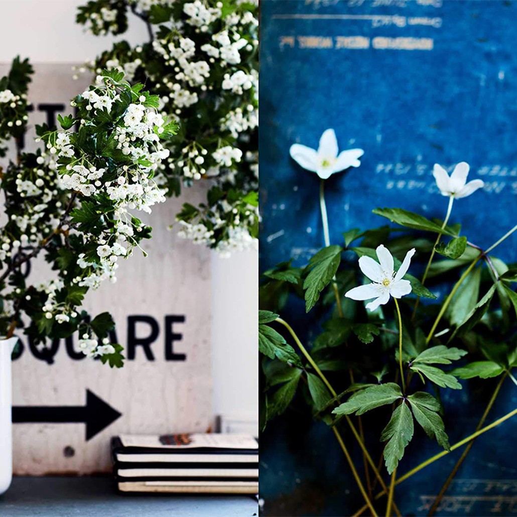 Книга Inspired by Nature: Creating a personal and natural interior
