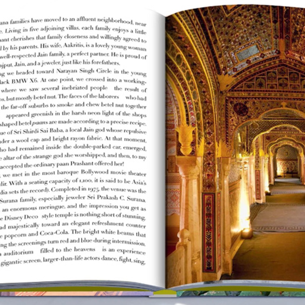 Книга RAJASTHAN STYLE book