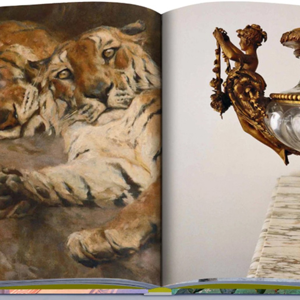 Книга RAJASTHAN STYLE book