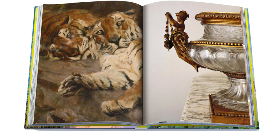 Книга RAJASTHAN STYLE book