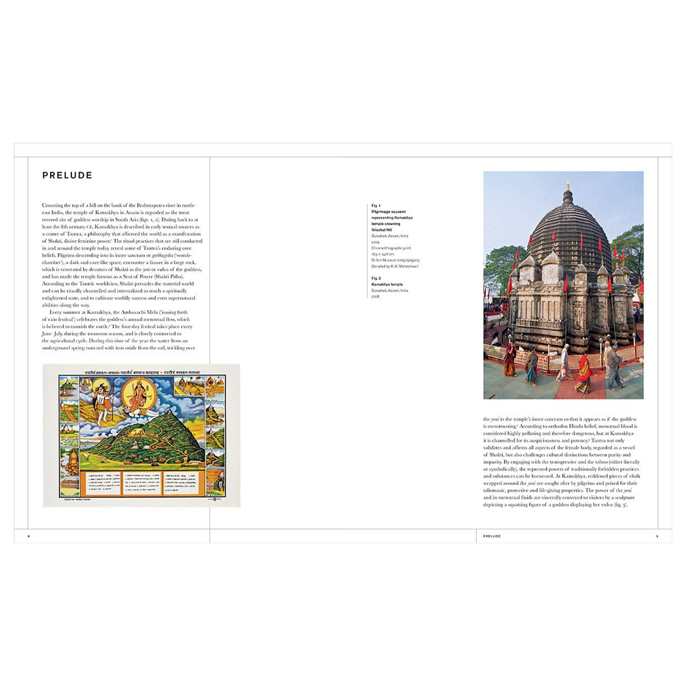 Книга Tantra: Enlightenment to Revolution