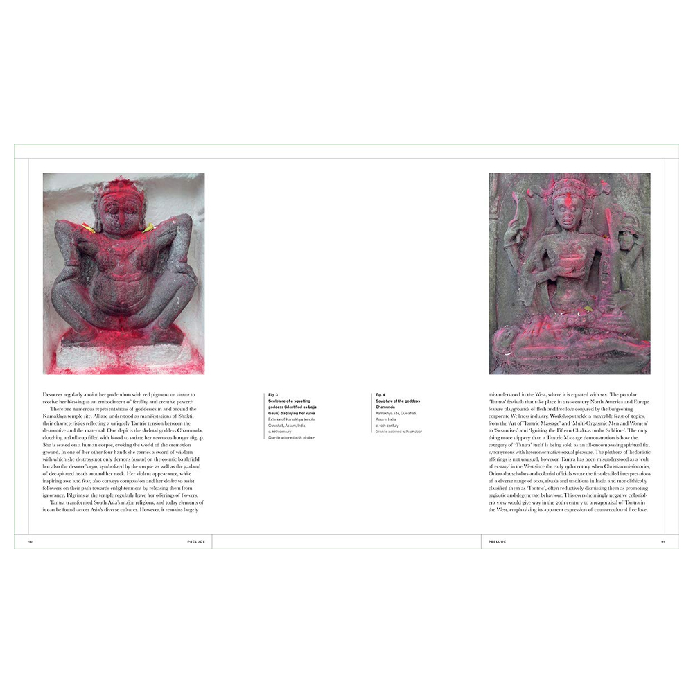 Книга Tantra: Enlightenment to Revolution