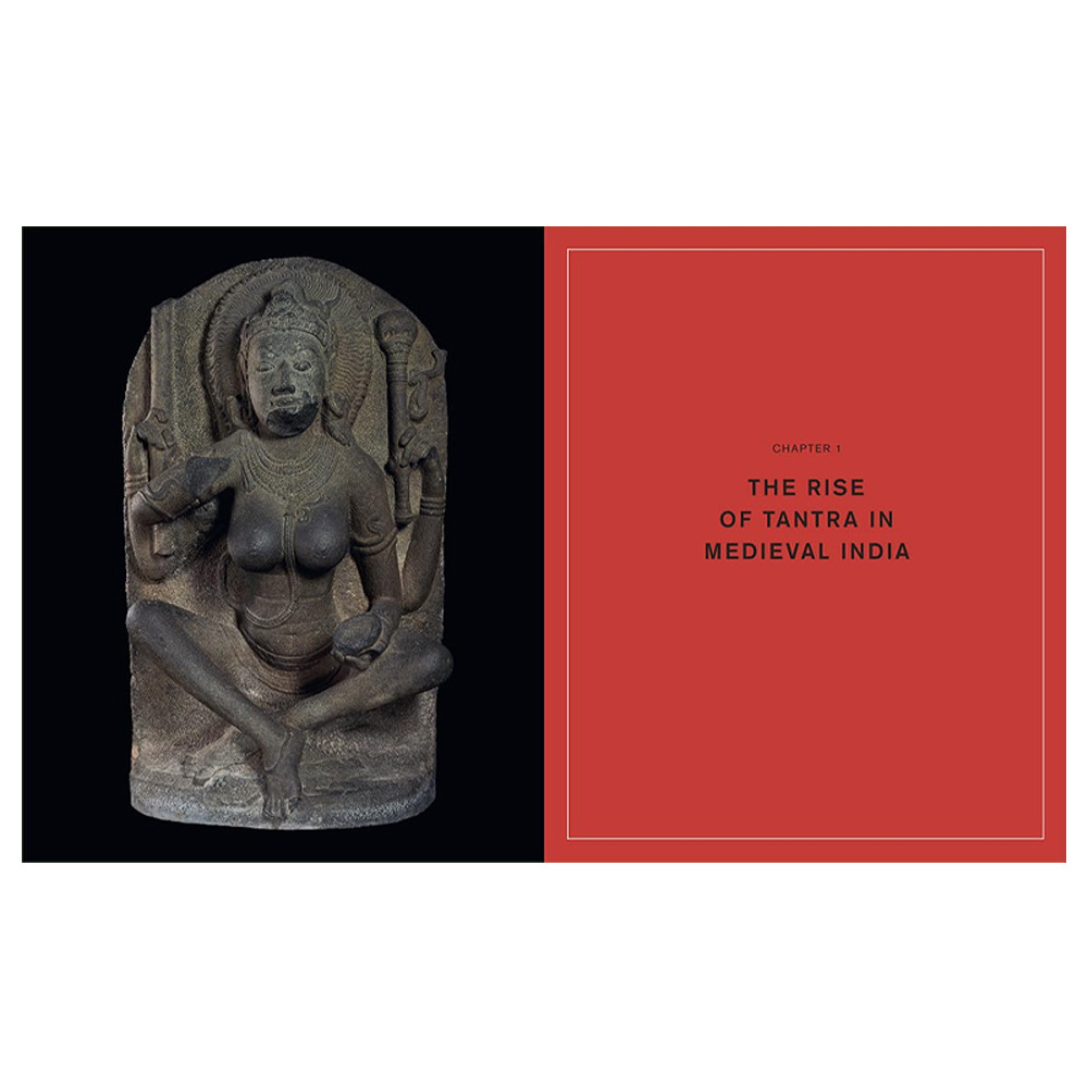 Книга Tantra: Enlightenment to Revolution