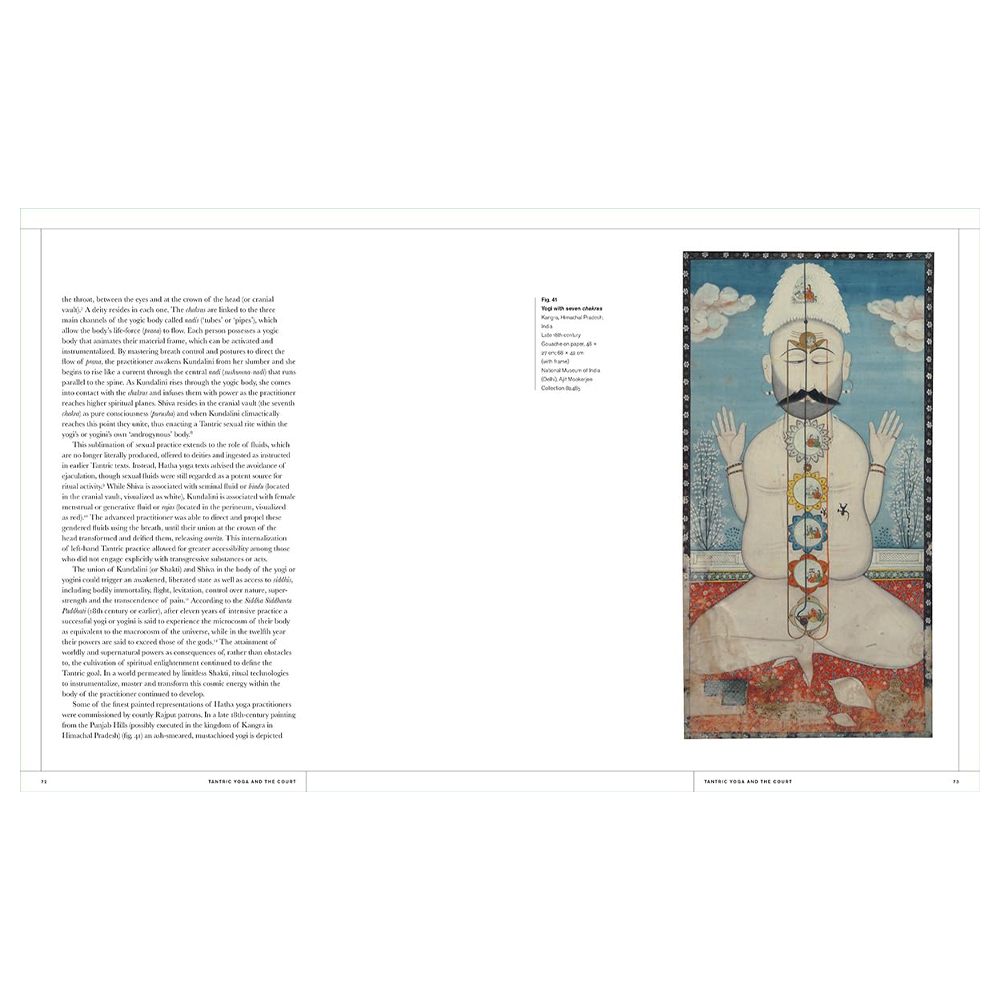 Книга Tantra: Enlightenment to Revolution