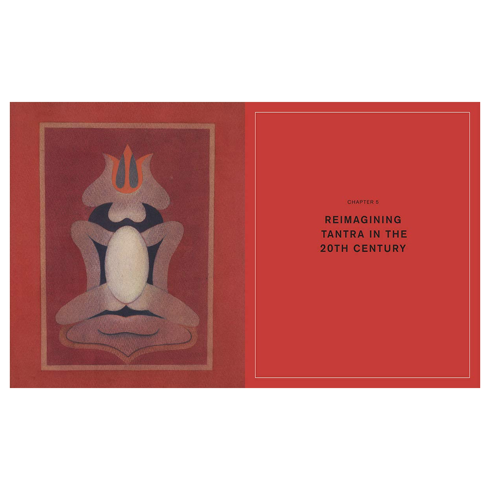 Книга Tantra: Enlightenment to Revolution