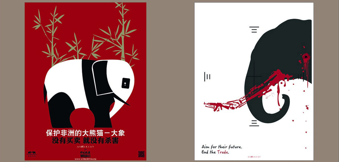 Книга Terrible Beauty: Elephant - Human - Ivory