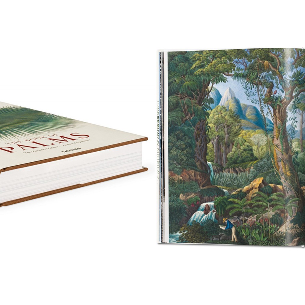 Книга The Book of Palms