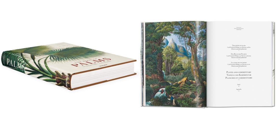 Книга The Book of Palms