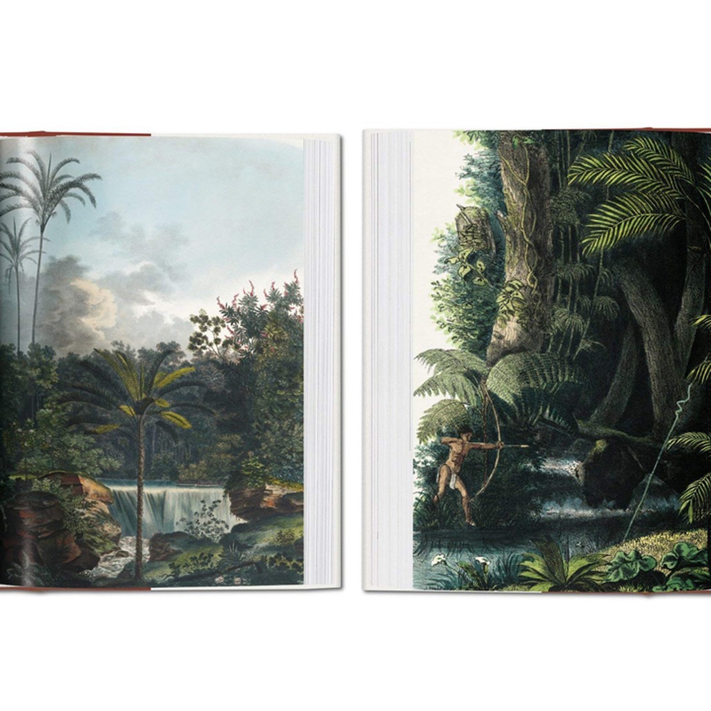 Книга The Book of Palms